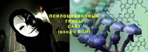 PSILOCYBIN Бронницы
