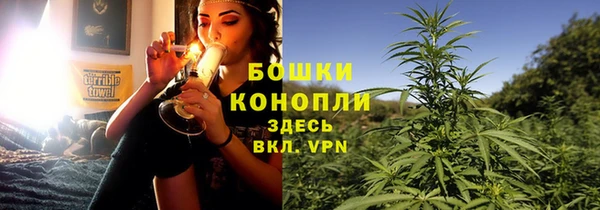 PSILOCYBIN Бронницы
