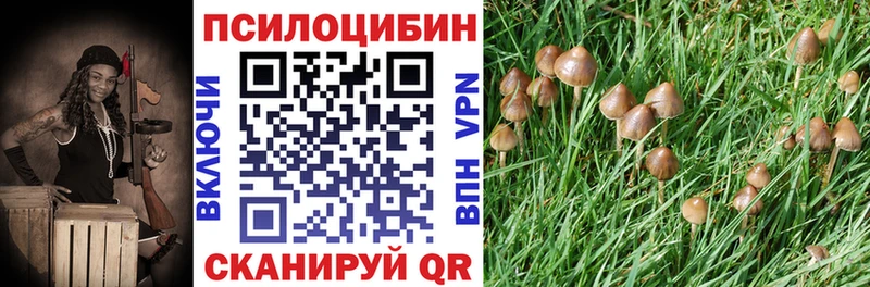 omg зеркало  Красково  Псилоцибиновые грибы Psilocybe 